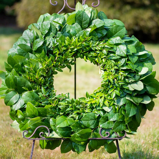 Salal & Huck Wreath